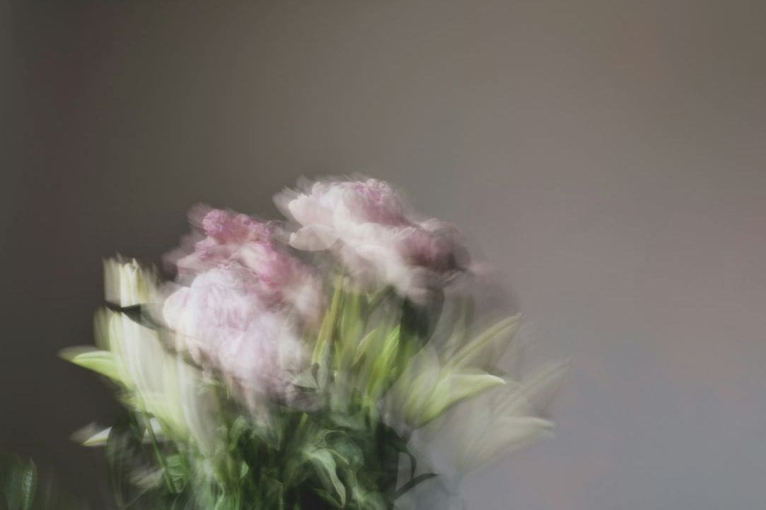 Composer un bouquet avec les fleurs de saison
