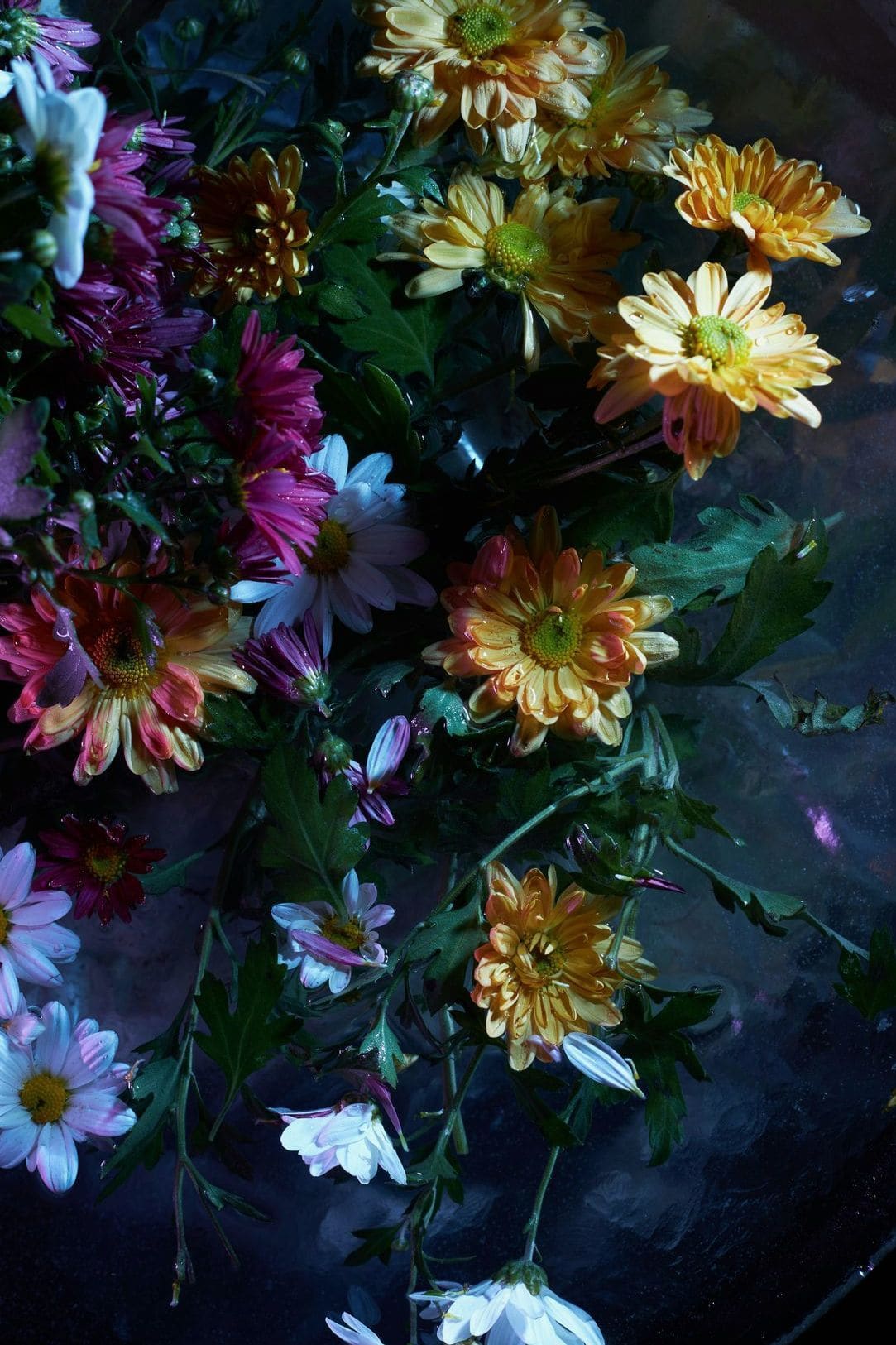 Une attention florale pour les petits moments
